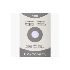 EXACOMPTA Systeemkaart A4 registratiekaart ruit wit (pak 100 vel)