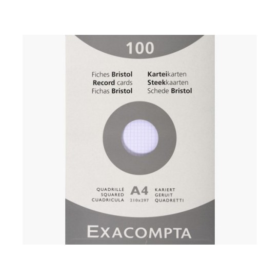 EXACOMPTA Systeemkaart A4 registratiekaart ruit wit (pak 100 vel)