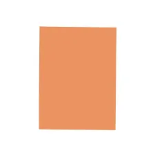 EXACOMPTA Forever Foldyne Vouwmap A4 Karton 170 g/m² Chamois (pak 100 stuks) EXACOMPTA Forever Foldyne Vouwmap A4 Karton 170 g/m² Chamois (pak 100 stuks)