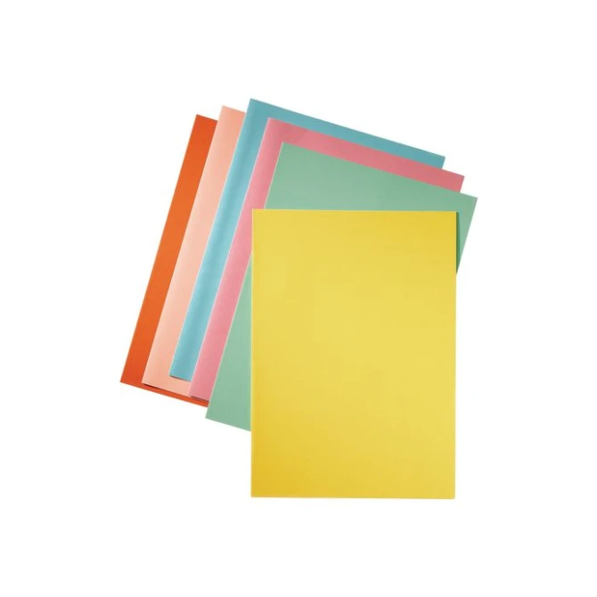 EXACOMPTA Forever Foldyne Vouwmap A4 Karton 170 g/m² Oranje (pak 100 stuks) EXACOMPTA Forever Foldyne Vouwmap A4 Karton 170 g/m² Oranje (pak 100 stuks)