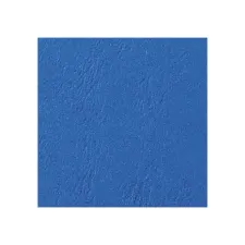 GBC Schutblad A4 Leernerf Blauw (pak 100 stuks) GBC Schutblad A4 Leernerf Blauw (pak 100 stuks)