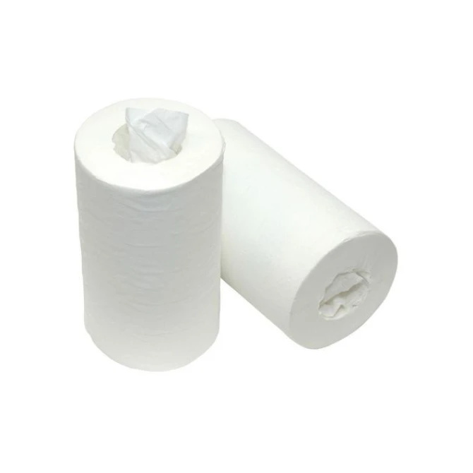 Hulsloze Mini Papieren Poetsrol 1 Laags 120 m Wit (doos 12 x 120 meter) Hulsloze Mini Papieren Poetsrol 1 Laags 120 m Wit (doos 12 x 120 meter)