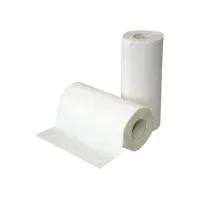 Euro Products 130010 Keukenrol 2-laags 50vel / 2 stuks