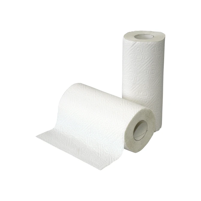 Euro Products 130010 Keukenrol 2-laags 50vel / 2 stuks