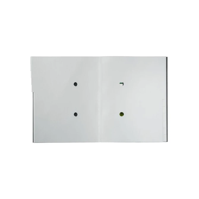 LEITZ Recycle Sorteermap 12 Tabs Karton Zwart