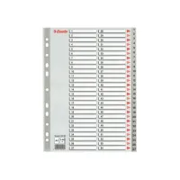 LEITZ Voorbedrukt tabblad polypropyleen 54-delig A4 grijs LEITZ Voorbedrukt tabblad polypropyleen 54-delig A4 grijs