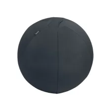 Leitz Zitbal Leitz Ergo 55cm donker grijs