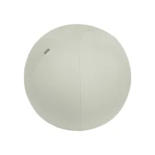 Leitz Zitbal Leitz Ergo 65cm lichtgrijs