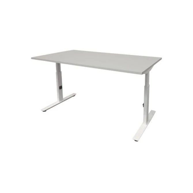 Linesto Plus Verstelbaar Bureau 120 x 80 cm Lichtgrijs Wit Linesto Plus Verstelbaar Bureau 120 x 80 cm Lichtgrijs Wit