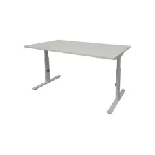 Linesto Plus Verstelbaar Bureau 160 x 80 cm Lichtgrijs Aluminium Linesto Plus Verstelbaar Bureau 160 x 80 cm Lichtgrijs Aluminium