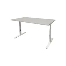 Linesto Plus Verstelbaar Bureau 160 x 80 cm Lichtgrijs Wit Linesto Plus Verstelbaar Bureau 160 x 80 cm Lichtgrijs Wit
