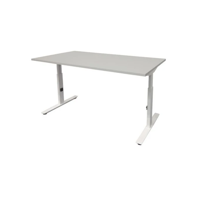Linesto Plus Verstelbaar Bureau 160 x 80 cm Lichtgrijs Wit