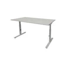 Linesto Plus Verstelbaar Bureau 200 x 80 cm Lichtgrijs Aluminium Linesto Plus Verstelbaar Bureau 200 x 80 cm Lichtgrijs Aluminium