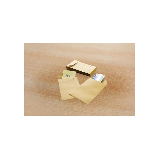 RAADHUIS Loonzakje Bruin 65 x 105 mm 70 g/m² (pak 1000 stuks)