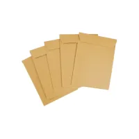 Ecomax Luchtkussenenvelop SPLS 200x275mm/ds100 (1 pak x 100 stuks)