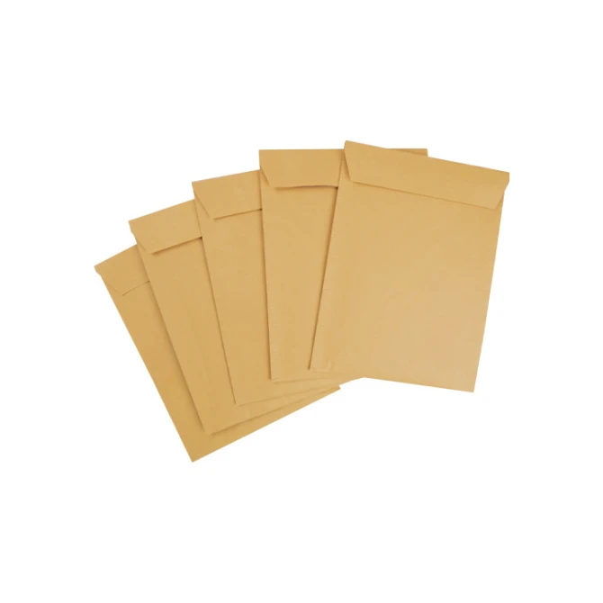 Ecomax Luchtkussenenvelop SPLS 250x350mm/ds100 (1 pak x 100 stuks)