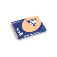 Clairefontaine gekleurd papier A3 120g abrikoos (250 vel) Clairefontaine gekleurd papier A3 120g abrikoos (250 vel)