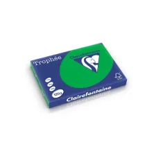 Clairefontaine gekleurd papier A3 120g biljartgroen (250 vel) Clairefontaine gekleurd papier A3 120g biljartgroen (250 vel)