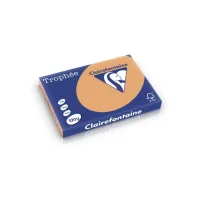 Clairefontaine gekleurd papier A3 120g caramel (250 vel)