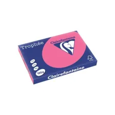 Clairefontaine Papier CF A3 120g fuch/pk250v (1 pak x 250 vel)