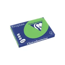 Clairefontaine Papier A3 120g grasgroen/pk250v (1 pak x 250 vel)