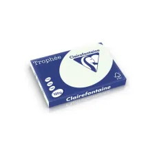 Clairefontaine gekleurd papier A3 120g licht groen (250 vel) Clairefontaine gekleurd papier A3 120g licht groen (250 vel)