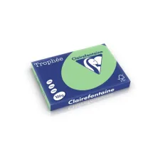 Clairefontaine gekleurd papier A3 120g natuurgroen (250 vel) Clairefontaine gekleurd papier A3 120g natuurgroen (250 vel)