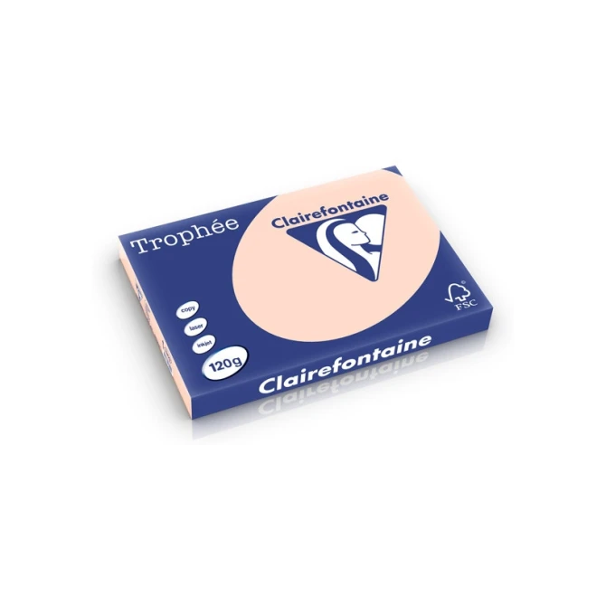 Papier CF A3 120g zalm/pk250v