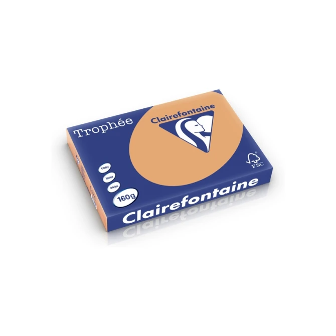 Papier CF A3 160g caramel/pk250v