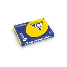 Clairefontaine gekleurd papier A3 160g goudgeel (250 vel) Clairefontaine gekleurd papier A3 160g goudgeel (250 vel)