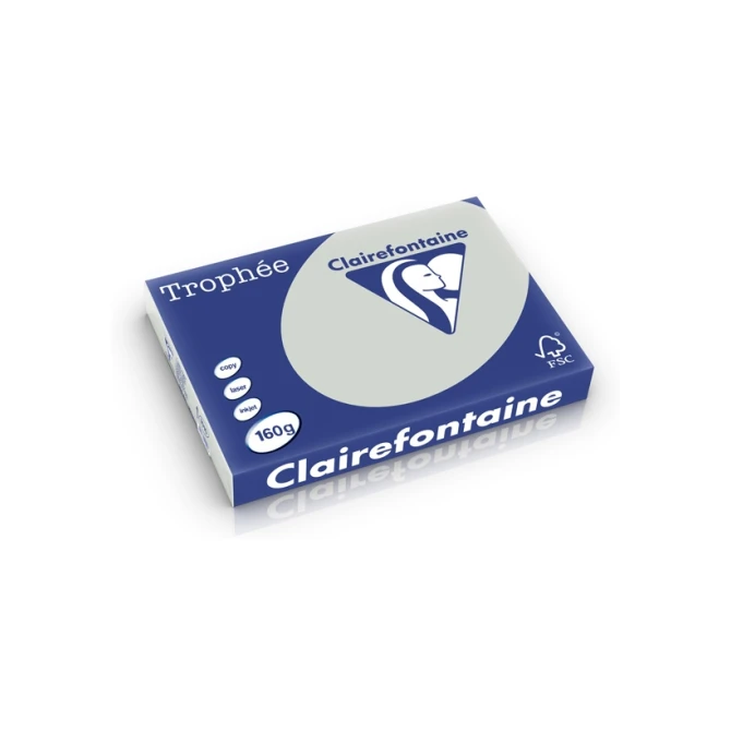 Papier CF A3 160g licht grijs/pk250v