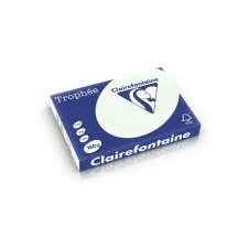 Clairefontaine gekleurd papier A3 160g licht groen (250 vel) Clairefontaine gekleurd papier A3 160g licht groen (250 vel)