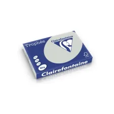 Clairefontaine gekleurd papier A3 80g licht grijs/pk500v Clairefontaine gekleurd papier A3 80g licht grijs/pk500v