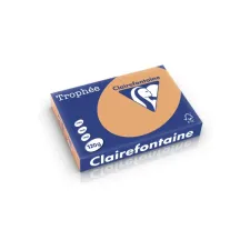Clairefontaine gekleurd papier A4 120g caramel (250 vel) Clairefontaine gekleurd papier A4 120g caramel (250 vel)