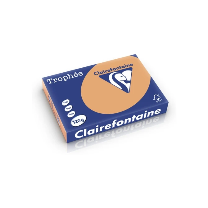 Papier CF A4 120g caramel/pk250v