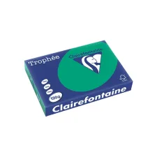 Clairefontaine gekleurd papier A4 120g dennengroen (250 vel) Clairefontaine gekleurd papier A4 120g dennengroen (250 vel)