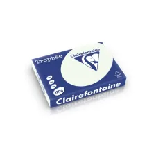 Clairefontaine gekleurd papier A4 120g licht groen (250 vel) Clairefontaine gekleurd papier A4 120g licht groen (250 vel)