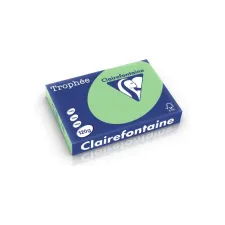 Clairefontaine gekleurd papier A4 120g natuurgroen (250 vel) Clairefontaine gekleurd papier A4 120g natuurgroen (250 vel)