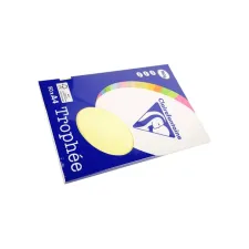 Clairefontaine gekleurd papier A4 160g geel (50 vel) Clairefontaine gekleurd papier A4 160g geel (50 vel)