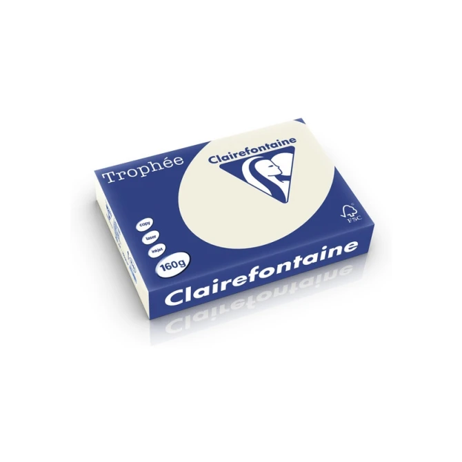 Papier CF A4 160g parelgrijs/pk250v