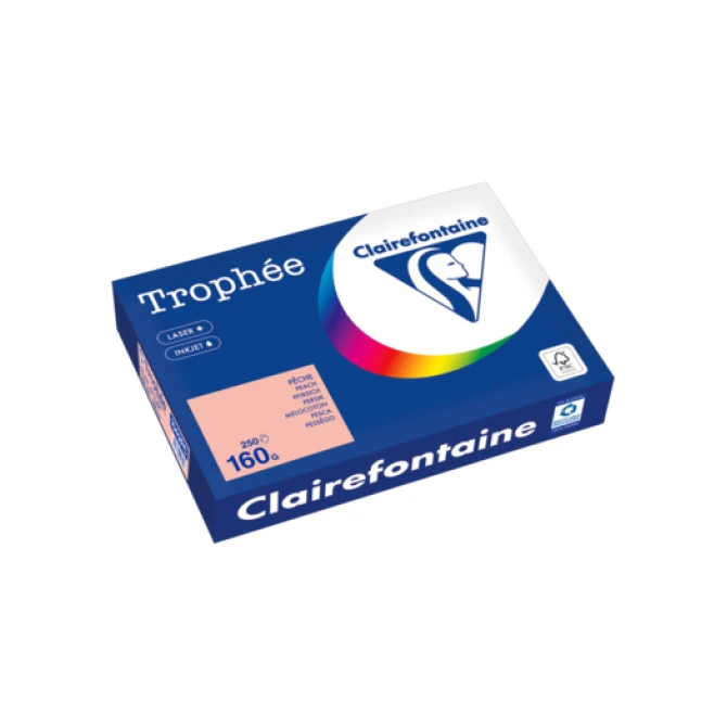 Papier CF A4 160g perzik/pk250v Papier CF A4 160g perzik/pk250v