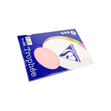 Clairefontaine gekleurd papier A4 160g roze (50 vel) Clairefontaine gekleurd papier A4 160g roze (50 vel)