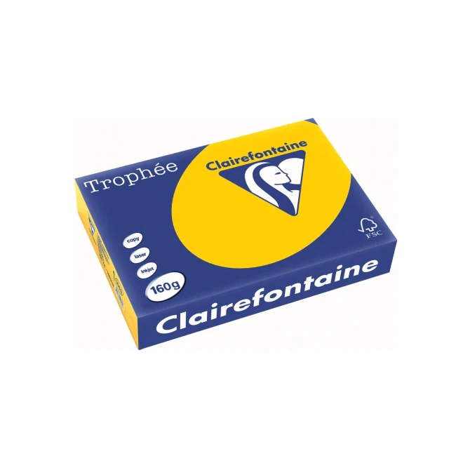 Papier CF A4 160g zon gl/pk250v Papier CF A4 160g zon gl/pk250v