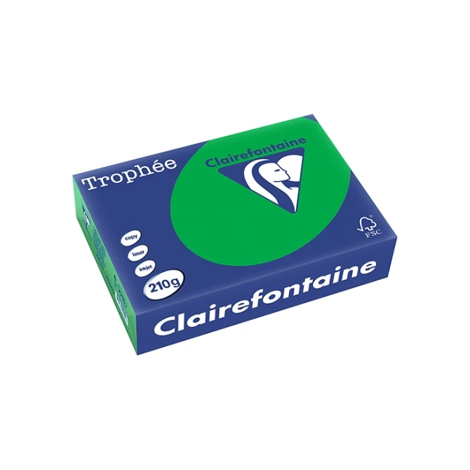 Papier CF A4 210g biljartgroen/pk250v