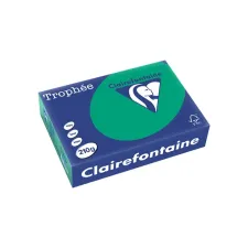 Clairefontaine gekleurd papier A4 210g dennengroen (250 vel) Clairefontaine gekleurd papier A4 210g dennengroen (250 vel)