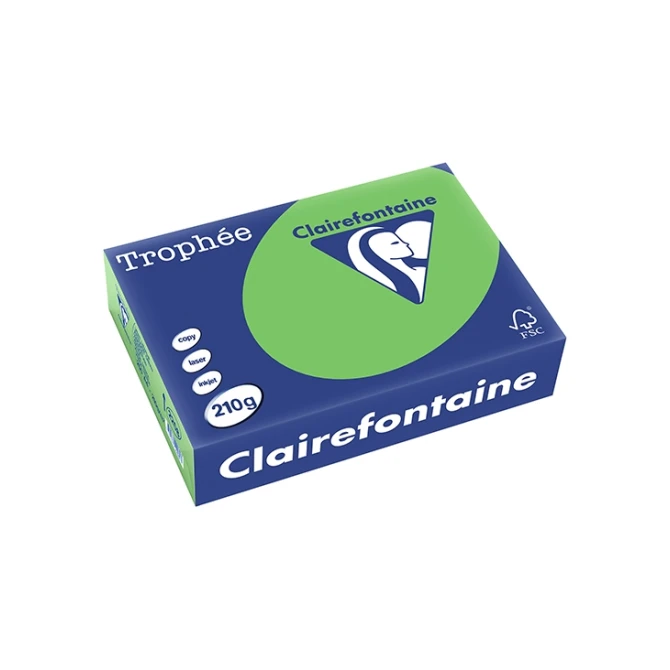 Papier CF A4 210g grasgroen/pk250v