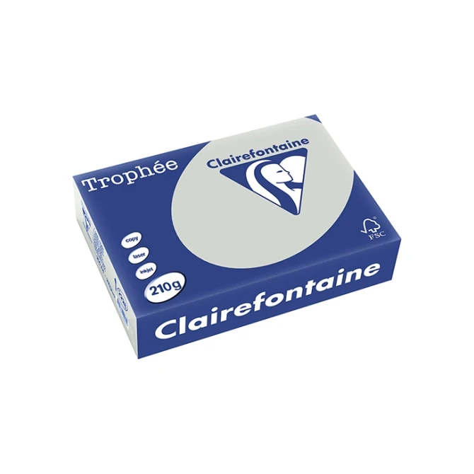 Papier CF A4 210g licht grijs/pk250v
