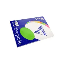 Clairefontaine gekleurd papier A4 80g grasgroenpk100v Clairefontaine gekleurd papier A4 80g grasgroenpk100v