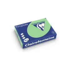 Clairefontaine gekleurd papier A4 80g natuurgroen (500 vel) Clairefontaine gekleurd papier A4 80g natuurgroen (500 vel)