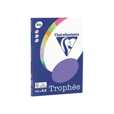 Clairefontaine gekleurd papier A4 80g violet (100 vel) Clairefontaine gekleurd papier A4 80g violet (100 vel)
